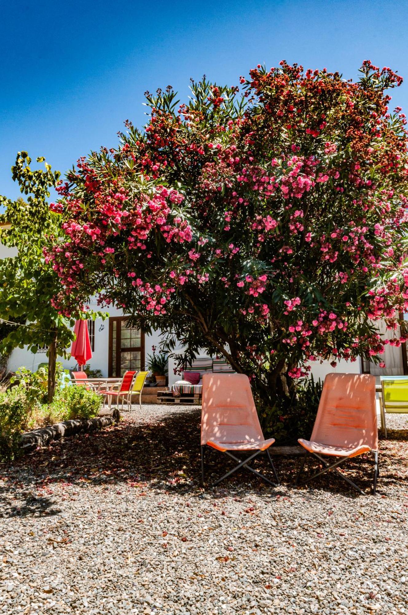 Nido Aguila Blanca Aparthotel Guaro Exterior photo