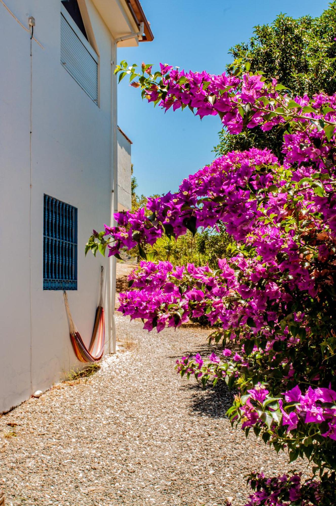 Nido Aguila Blanca Aparthotel Guaro Exterior photo
